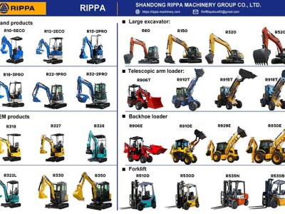 RIPPA